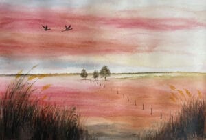 Jacqueline Essex - Watermark