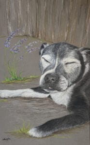 Pet Portrait Commission - Animal Coloured Pencil Portrait