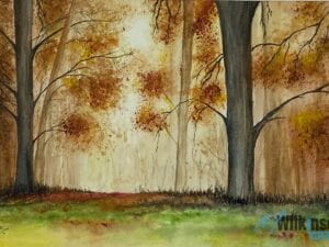 Autumn Woodland