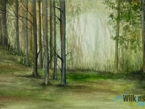 Forest Walk