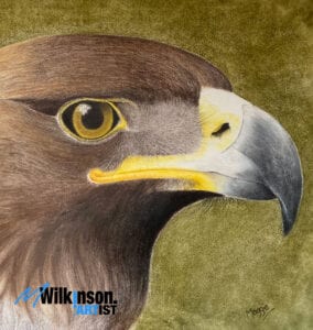 Pet Portrait Commission - Animal Coloured Pencil Portrait