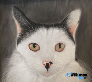 Pet Portrait Commission - Animal Coloured Pencil Portrait