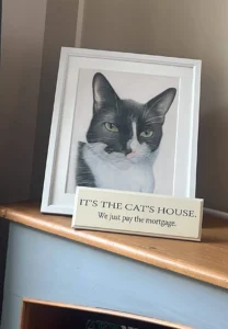 mwilkinson-art-chester-cat-pet-portrait