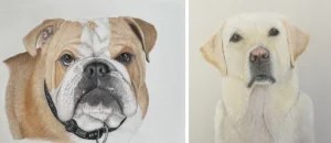 mwilkinson-art-pet-portraits-boris-oscar