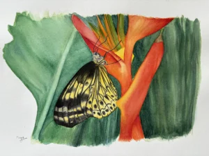 watercolour butterfly