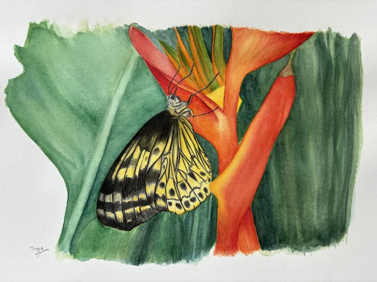 watercolour butterfly