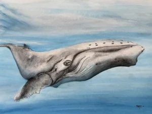 watercolour-blue-whale